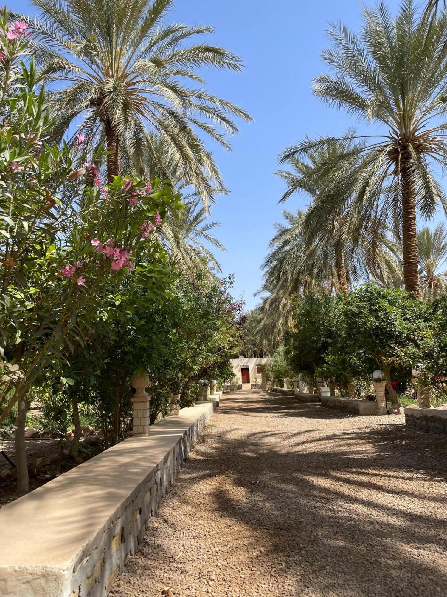 Dar Barka Hotel Kebili Exterior photo