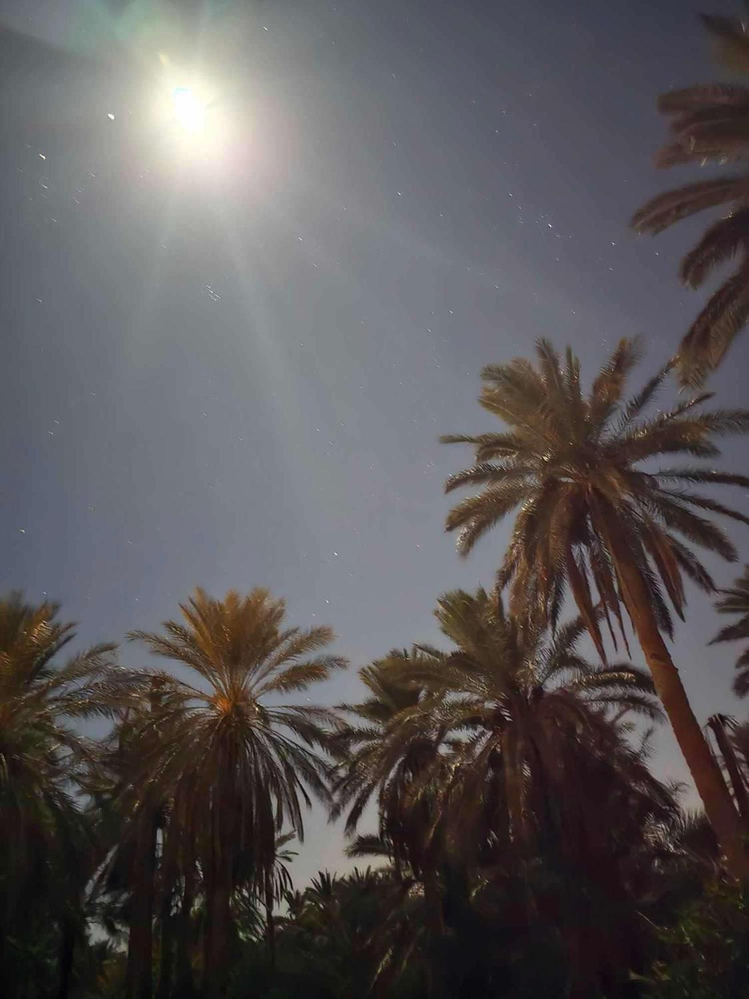 Dar Barka Hotel Kebili Exterior photo